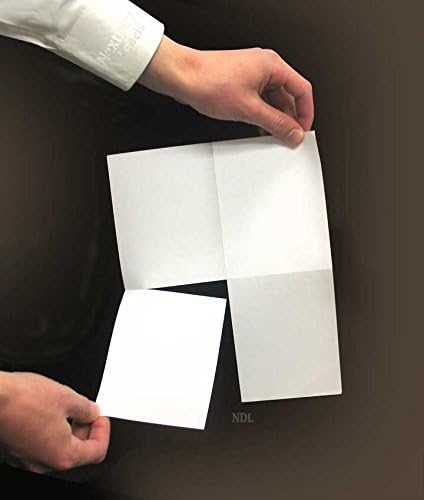 W-2 or 1099 Forms Blank Paper 4-Up Version "NO Instructions on Back" for Laser and Ink Jet Printer (1 Pack of 100 Sheets)