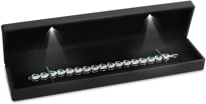 iSuperb LED Light Black Necklace Chain Bracelet Display Case Jewelry Storage by iSuperb