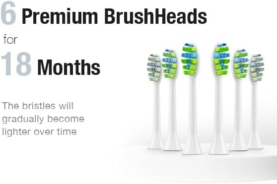 7AM2M Ultrasonic Electric Toothbrush with 6 Brush Heads for Adults&Kids, Type C Charging, One Charge for 120 Days, 5 Modes&40000VPM Powered Toothbrush, 2 Minutes Built in Smart Timer (Peacock Green)