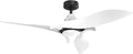 AEROFANTURE 54 Inch White Ceiling Fan, Quiet DC Motor with Remote, 6 Speeds and Reversible Airflow, Modern Indoor Fan for Bedroom or Living Room