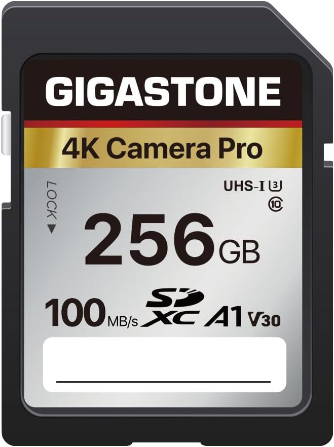 【5-Years Data Recovery】GIGASTONE 256GB SD Card, 4K Camera Pro, UHS-I A1 V30 by Gigastone
