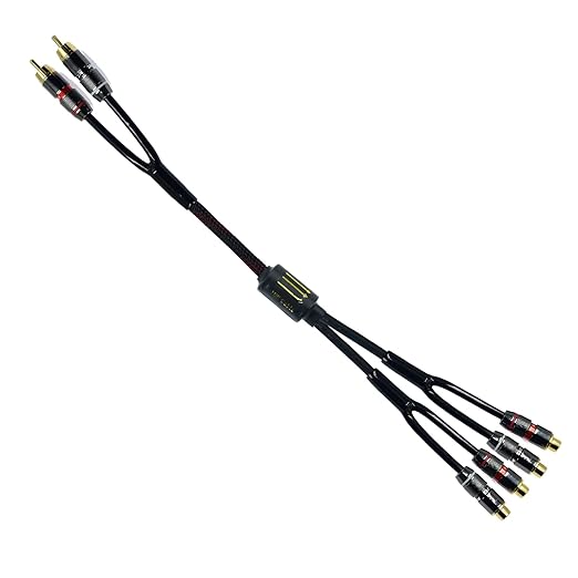 Arklove 10ft Shielded RCA Plug Splitter Stereo Audio Video Cable 2 Male to 4 Female Dual Speaker Y Adapter Connector Extension Cord 24k Gold Plated 1 Input 2 Output