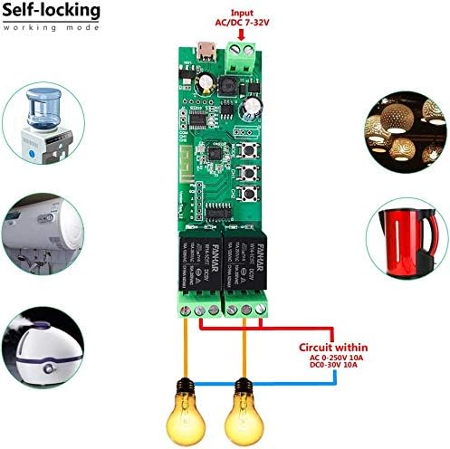 Newgoal 2-Channel WiFi Smart Switch Relay Module, TUYA/Smart Life App for Smart Home Remote Control, Momentary Time Adjustable, Compatible with Alexa/Google Assistant