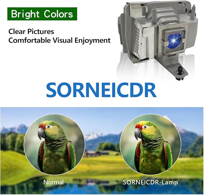 SORNEICDR SPLAMP026 Replacement Projector Lamp Bulb Compatible with INFOCUS SP-LAMP-026 LPX8 X30 IN35EP C250 C250W C310 C315 IN35 IN35W IN35WEP IN36 IN37 IN37EP Lamp Bulb Replacement with Housing