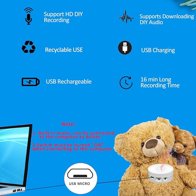 JRGKJCP 16 Minutes Voice Recorder, Record Custom Message for Crafts, Stuffed Bear, Baby Doll, and Pillow