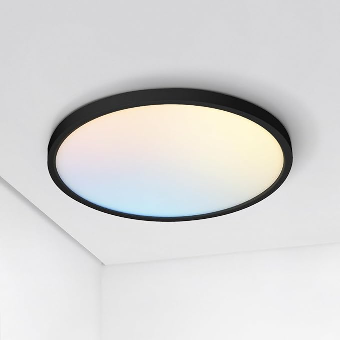 ASD LED 12" Round Flush Mount Ceiling Light Fixture, Low Profile Surface Lighting | 5CCT, Dimmable, Ultra-Thin, ETL Listed | 24W 1900LM 2700-6000K 120V | Kitchen, Bedroom, Hallway Lamp | Black