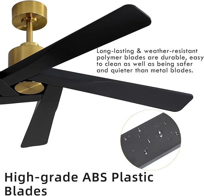 WINGBO 64" ABS DC Ceiling Fan No Light, 5 Blade ABS Plastic Ceiling Fan with Remote, 6-Speed Reversible DC Motor, Ceiling Fans without Light for Kitchen Bedroom Living Room, Brass and Matte Black