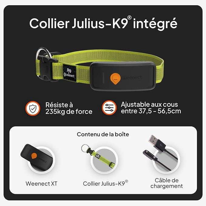 Weenect Dog XT - New GPS Collar for Dogs | XL Antenna | Waterproof | Ultra-Durable Integrated Julius-K9 Collar | Subscription Required
