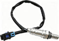 HiSport O2 Oxygen Sensor, Compatible by HiSport