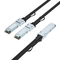 10Gtek 200GbE to 2x100GbE Splitter DAC, QSFP56 to 2xQSFP56, by 10Gtek