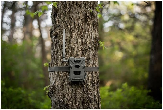 SPYPOINT Flex-M Twin Pack Cellular Trail Cameras - Image 2