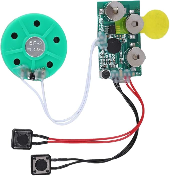 fosa 4 Minutes DIY Greeting Card Chip Music Sound Voice Recording Module Device Chip Recordable Sound Chip for Christmas Cards, Holiday Creative Gift Boxes, Jewelry Boxes, Crafts, Children's Toys