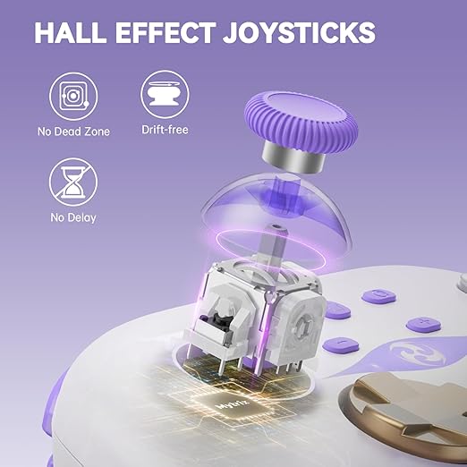 Mytrix Switch Pro Controller with Charging Dock, Wireless Controllers for Nintendo Switch/Switch 2/OLED, Hall Effect Joystick/Trigger, RGB Lighting, Turbo/Macro Button, for PC, iPad - Raiden Design