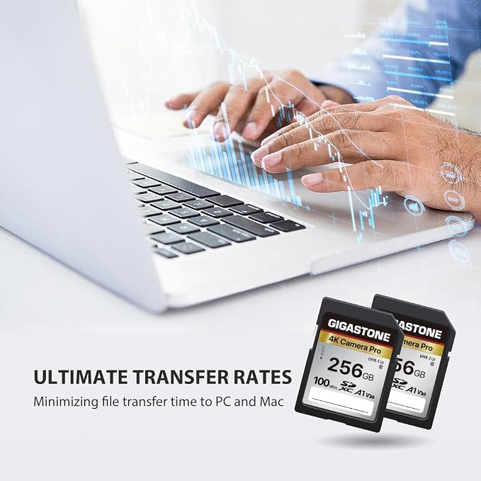 【5-Years Data Recovery】GIGASTONE 256GB SD Card, 4K Camera Pro, UHS-I A1 V30 - Image 5