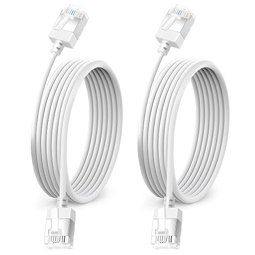 Ultra Thin Cat 6A Ethernet Cable 6.6 Feet 2Pack, Flexible & Slim Rj45 Cat6a LAN by DUTEVOLNS