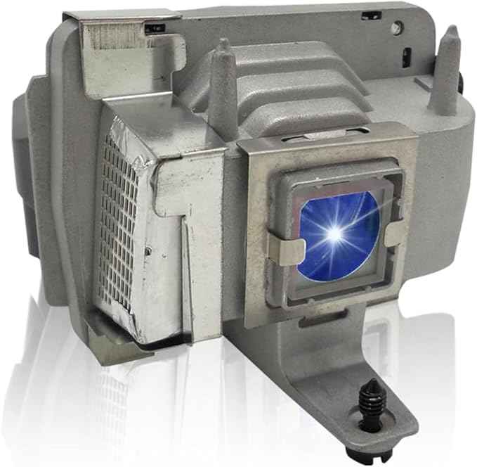 SORNEICDR SPLAMP026 Replacement Projector Lamp Bulb Compatible with INFOCUS SP-LAMP-026 LPX8 X30 IN35EP C250 C250W C310 C315 IN35 IN35W IN35WEP IN36 IN37 IN37EP Lamp Bulb Replacement with Housing
