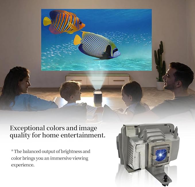 SORNEICDR SPLAMP026 Replacement Projector Lamp Bulb Compatible with INFOCUS SP-LAMP-026 LPX8 X30 IN35EP C250 C250W C310 C315 IN35 IN35W IN35WEP IN36 IN37 IN37EP Lamp Bulb Replacement with Housing