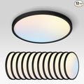 ASD LED 12" Round Flush Mount Ceiling Light Fixture, Low Profile Surface Lighting | 5CCT, Dimmable, Ultra-Thin, ETL Listed | 24W 1900LM 2700-6000K 120V | Kitchen, Hallway Lamp | Black, 12 Pack