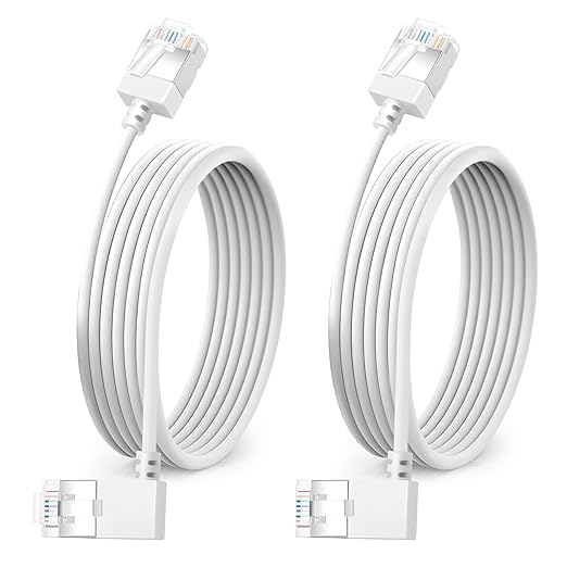 Ultra Slim 90° Degree Cat 6A Ethernet Cable Left Angled 1.6 Feet 2Pack by DUTEVOLNS
