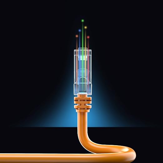 Maximm Cat 6 Ethernet Cable 8 ft - Image 8