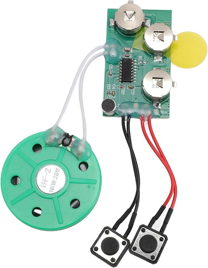 FOSA 120 Seconds Sound Recorder Module, Recordable Voice Module with Speaker, Recording Music Voice Player Sound Module Chip for Greeting Card