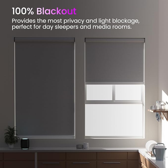 Astomi Motorized Smart Blinds for Windows, Automatic Roller Blackout Shades with Remote Control Compatible with Alexa Google Assistant Customized, Vinyl-Pure White