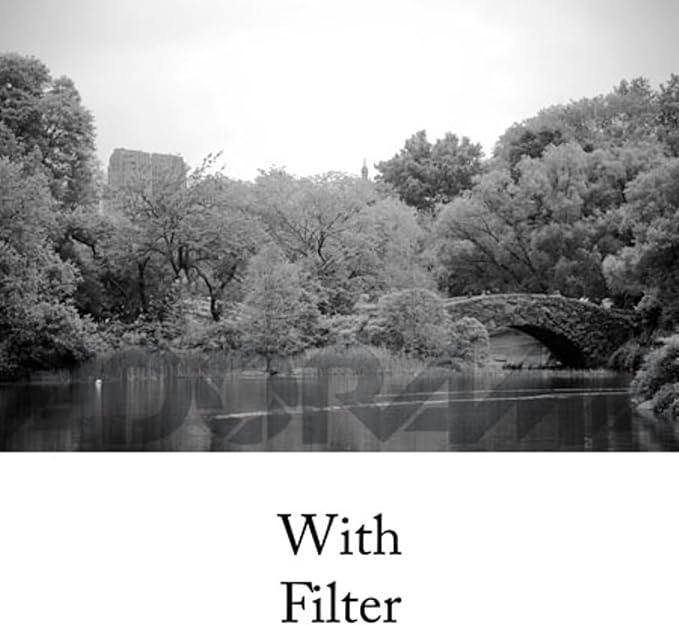 Tiffen 77mm 21 Filter - Image 3