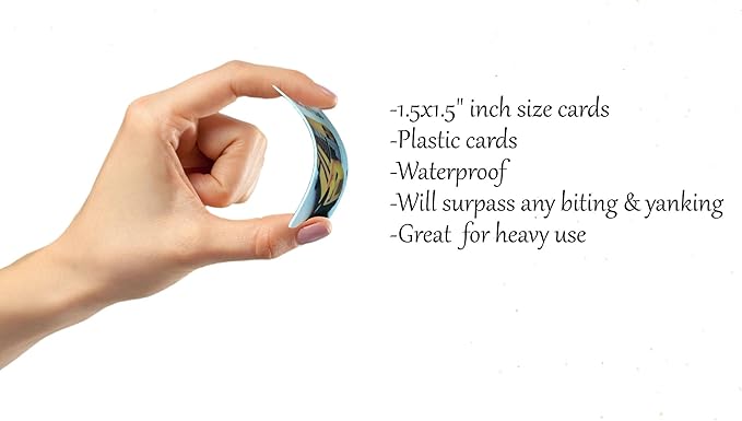 Smile4Autism Loose Visual Picture Cards, Receptive and Expressive Language, Speech Articulation Therapy, ASD, ADD, ADHD, Apraxia, & Stroke Patients (Prime-Small Plastic, Real Photos 166 Pcs.)
