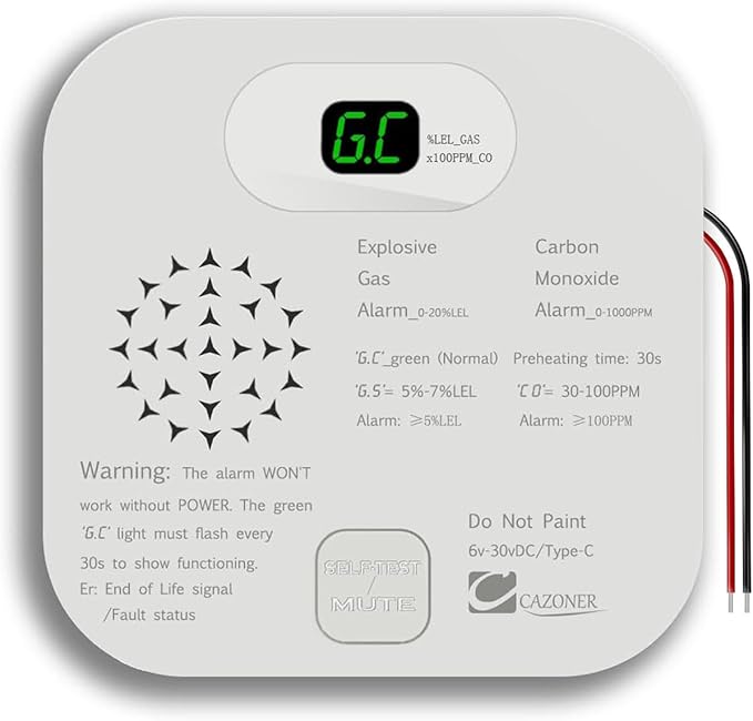 RV Carbon Monoxide Detector & Propane/Natural Gas Detectors, 10-Year Lifespan, 3-in-1 Gas Alarm for Camper, Home, Voice Alert with LCD Display, USB-C & 12V DC Powered, Compact Design