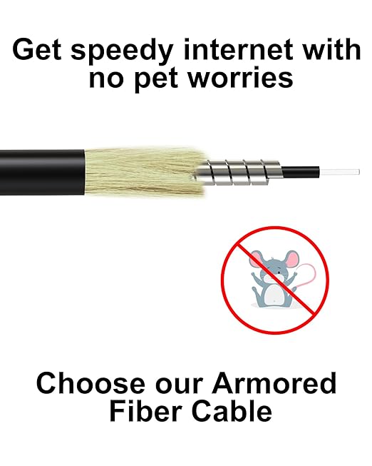 30M SC/APC Fiber Optic Internet Cable 100ft, Outdoor Armored SC/APC Fiber Patch - Image 3