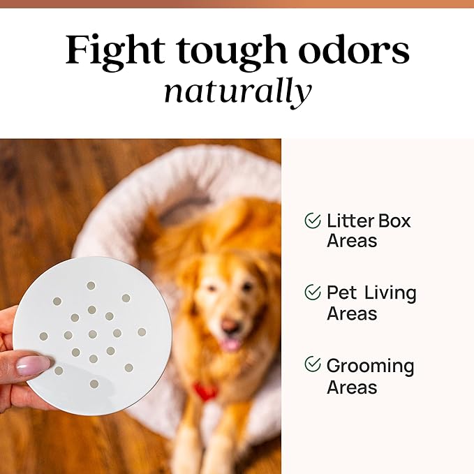 Azuna Pet Odor Eliminator for Strong Odor Gel | Plant Powered Australian Tea Tree Oil | Dog and Cat Room Deodorizer | Pet and Child Friendly | Cedarwood Scent | 8oz Pod