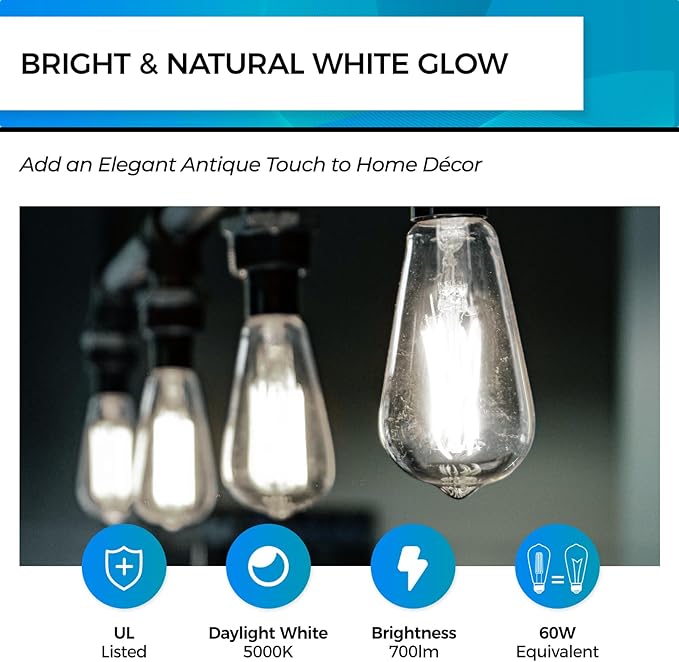 Hizashi LED Edison Bulbs, 6W, Equivalent 60W, Dimmable E26 LED Bulb, Daylight 5000K, 90+ CRI 700 Lumens, ST19 Vintage Light Bulbs, Clear Glass, Pack of 4