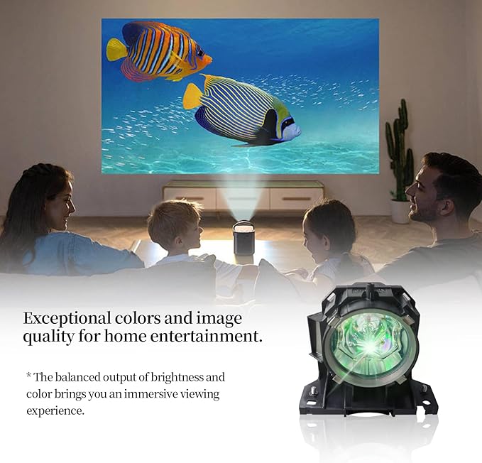 SORNEICDR DT00873/SP LAMP-046 Replacement Projector Lamp Bulb Compatible with Hitachi CP-SX635 CP-WUX645 CP-WUX645N CP-WX625 CP-WX625W CP-WX645 CP-X809 INFOCUS IN5104 IN5108 IN5110 Projectors