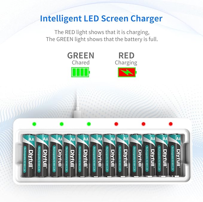 Dlyfull Rechargeable AA Batteries with Charger, 12PCS 2800mAh High Capacity Low Self Discharge Ni-MH Double A Batteries with Battery Charger -USB&Type C Dual Input High-Speed Charging Ports