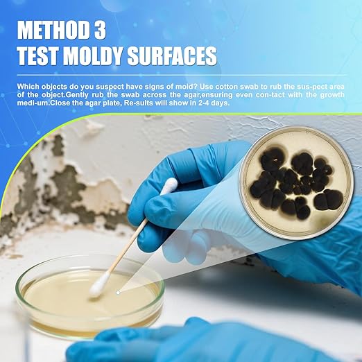 Mold Test Kit for Home,7 Simple Detection Tests,Test HVAC System,Home Surfaces, Indoor Air Quality Testing,DIY Mold Detector for Home,Includes Detailed Mold Identification Guide,Black Mold Testing kit