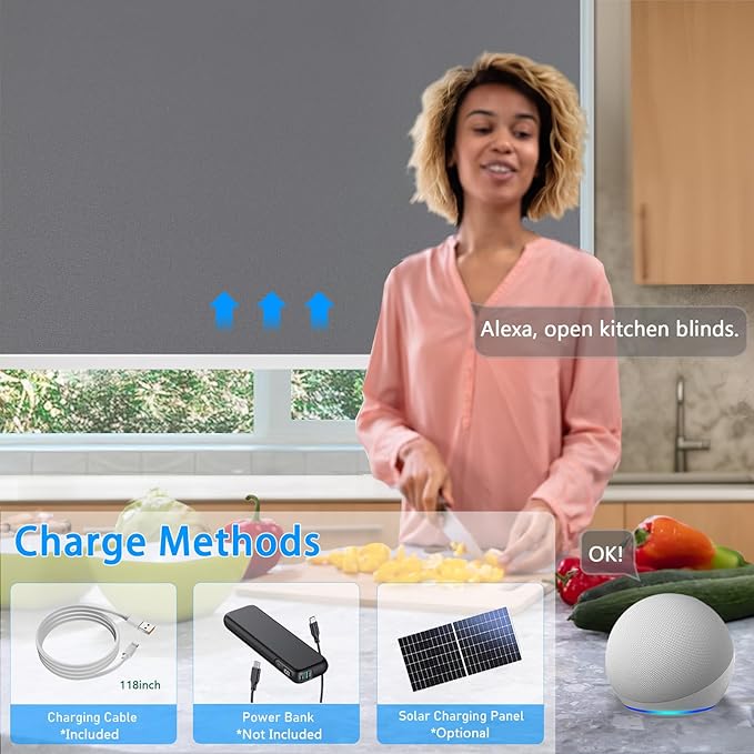 COOLWINDS Motorized Blinds with Remote Cordless Automatic Motorized Shades Custom Blinds for Windows Smart Curtains Compatible with Alexa Google Home(Blackout Thunder Grey,W51 x H72in)