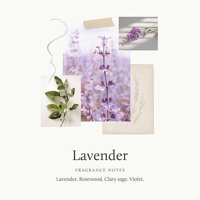 Thymes Petite Diffuser - 4 Fl Oz - Lavender