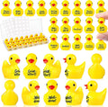 Skylety 24 Pcs Back to School Mini Resin Ducks by Skylety