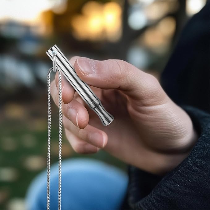 Replace Bad Habit Flavored Air Necklace with 12pcs Refillable Cores in 4 Flavors, Habit Support Refreshing Necklace for Stress Relief Sensory Fidget for Adults (Silver)