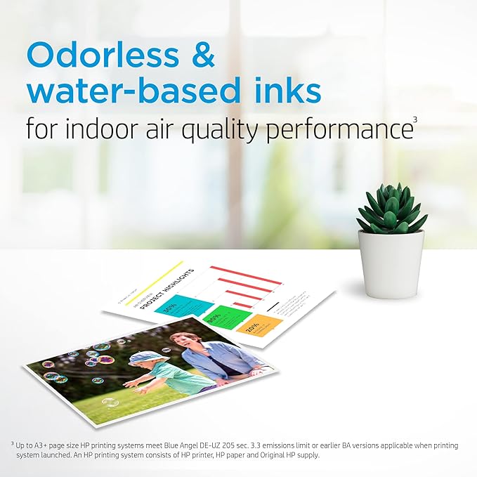 HP 65 Black Ink Cartridge | Works with HP AMP 100 Series, HP DeskJet 2600, 3700 Series, HP ENVY 5000 Series | Eligible for Instant Ink | N9K02AN (Pack of 2)