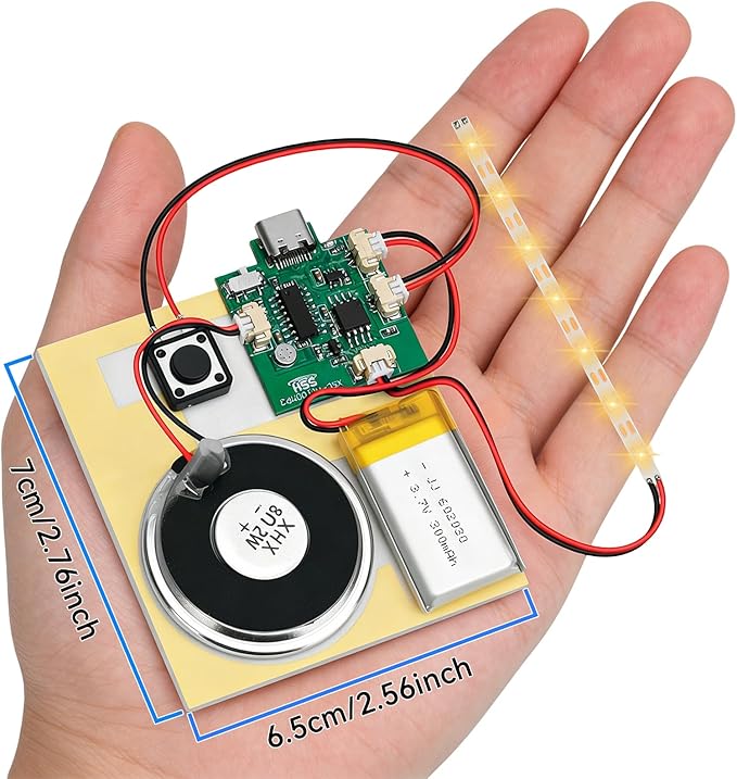 2PCS Customize Recording Module with LED Strip DIY Music Voice Recording Module Chip with Speaker,Type-C Cable,Capability16 Minutes Music for Personalized Greetings, Holiday Crafts Cards with Manual