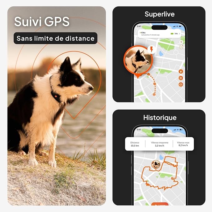 Weenect Dog XT - New GPS Collar for Dogs | XL Antenna | Waterproof | Ultra-Durable Integrated Julius-K9 Collar | Subscription Required