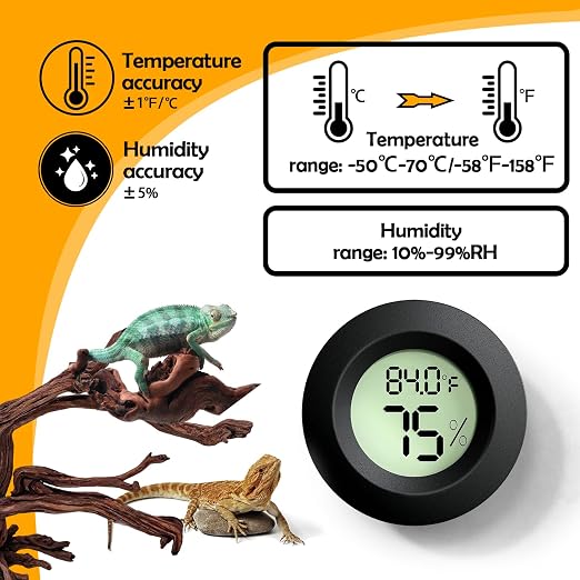 Reptile Tank Accessories, Jumping Spider, Leopard Gecko, Hermit Crab, Ball - Image 4