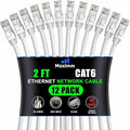 Maximm Cat 6 Ethernet Cable 2 Ft, Cat6 Cable, LAN Cable, Internet Cable by MaximmCable