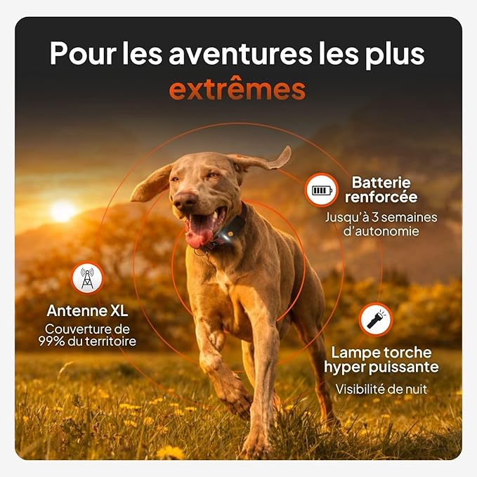 Weenect Dog XT - New GPS Collar for Dogs | XL Antenna | Waterproof | Ultra-Durable Integrated Julius-K9 Collar | Subscription Required