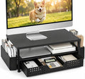 ECOLOVI Desk Organizer and Accessories, 2-Tier Computer Monitor Stand Rise by ECOLOVI
