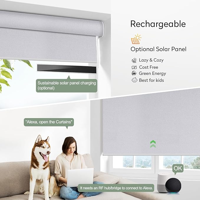 ZSHINE Motorized Blackout Window Blinds Customize Width Remote Control Rechargeable Motor Roller Shades for Windows, Home, Office, Hotel, Club, Restaurant(82026E)