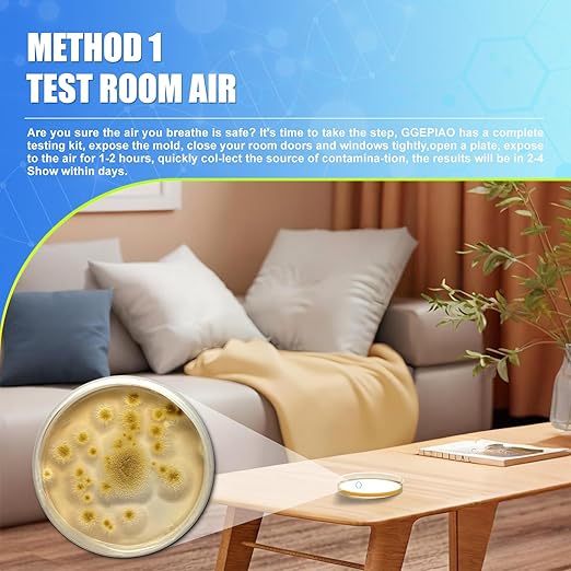 Mold Test Kit for Home,14 Simple Detection Tests,Test HVAC System,Home Surfaces, Indoor Air Quality Testing,DIY Mold Detector,Includes Detailed Mold Identification Guide,Black Mold Testing kit