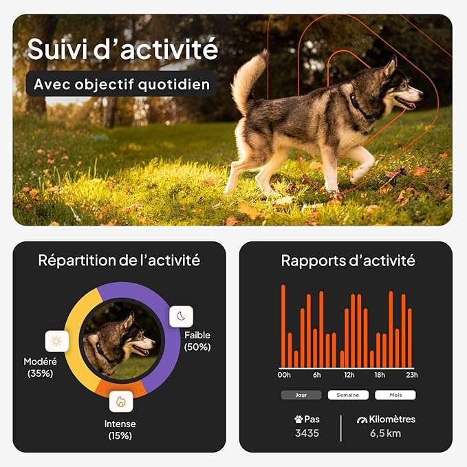 Weenect Dog XT - New GPS Collar for Dogs | XL Antenna | Waterproof | Ultra-Durable Integrated Julius-K9 Collar | Subscription Required