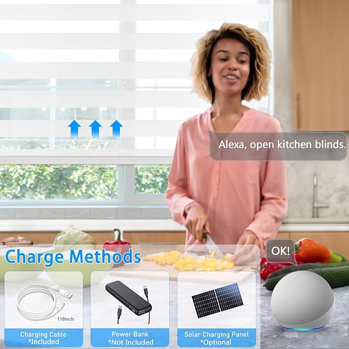 COOLWINDS Motorized Zebra Blinds for Windows Cordless Electric Curtains with Remote Control Blackout Shades Custom Smart Blinds Compatible with Alexa Google Home(Light Filtering White,W47 X 72in)
